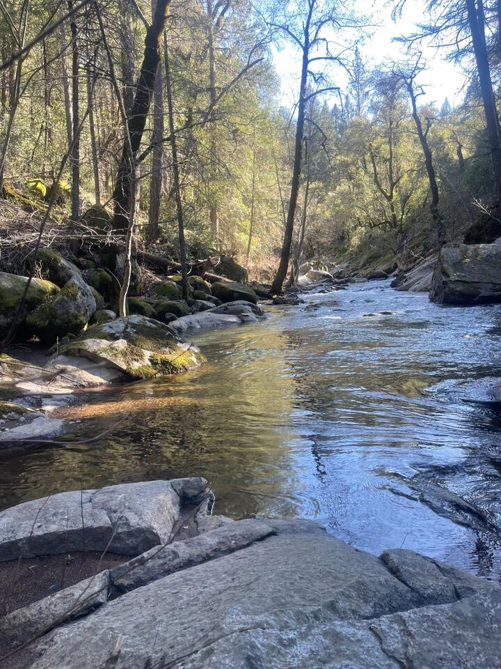 9161 Grizzly Flat Road  Somerset CA 95684 photo