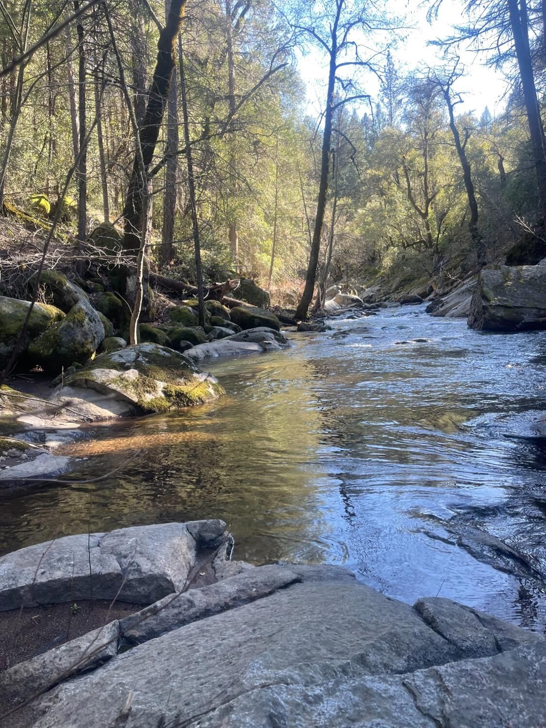 Property Photo: 9161 Grizzly Flat Road CA 95684