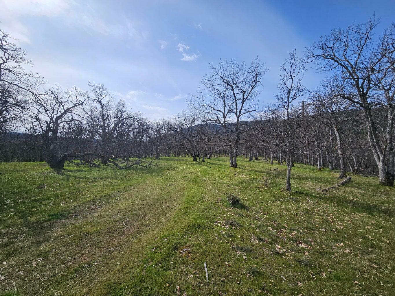 0 Old Hwy 99 S  Ashland OR 97520 photo