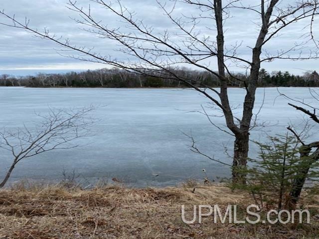 Property Photo:  Lot 7 E East Maggie Point  MI 49920 