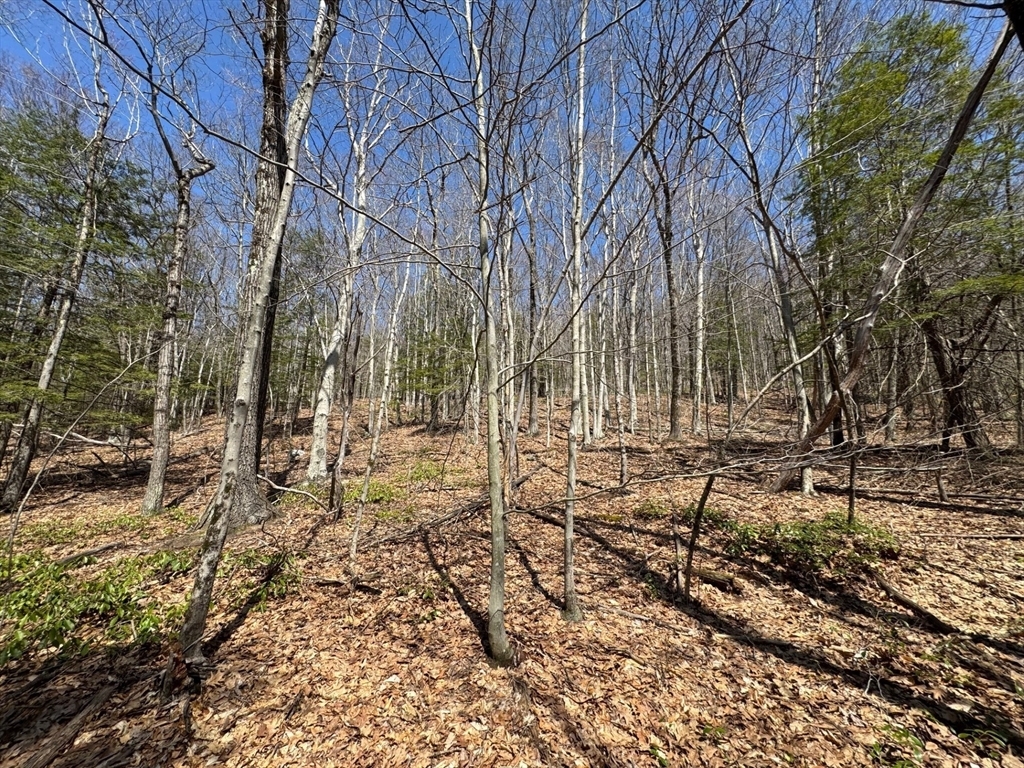 Property Photo: 544 Fox Hill Rd (Vacant Land) MA 01337