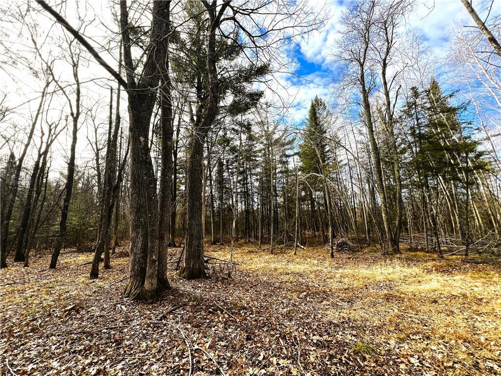 40 Acres N Irish Road  Exeland WI 54835 photo