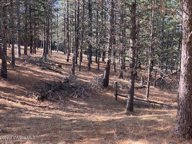 Property Photo:  Nka Frosty Pine Trail  ID 83814 