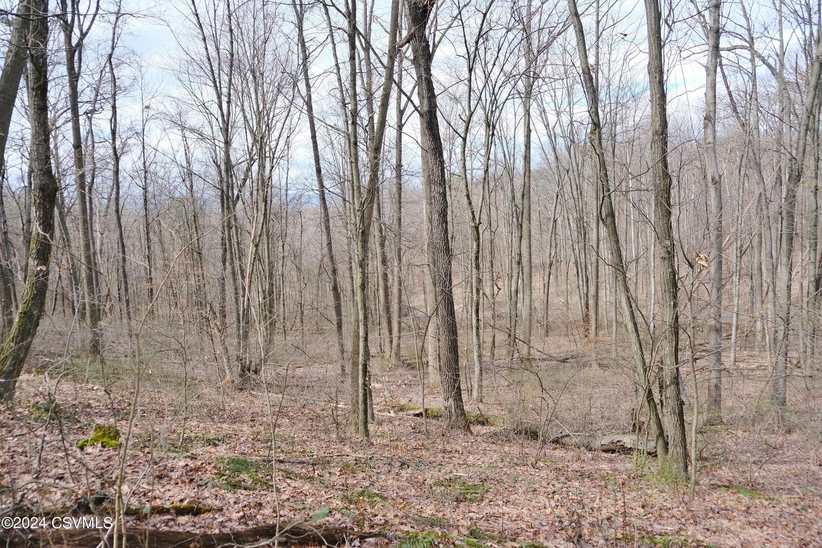 Property Photo: 530 Tall Oak Lane PA 17837