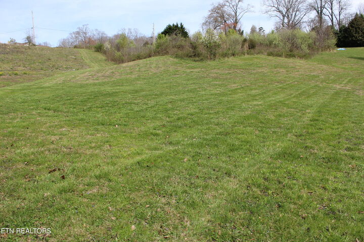 Foxglen Lane  Andersonville TN 37705 photo