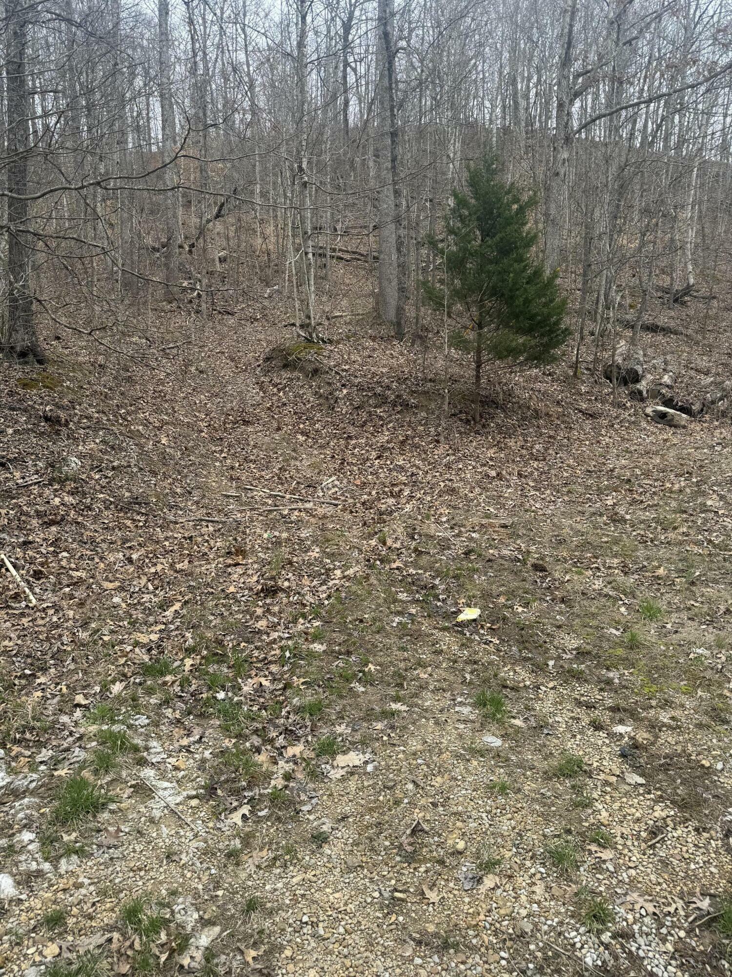 Property Photo:  10.57 Peck Pike  KY 42539 