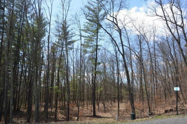 Property Photo:  Lot 32 Hemlock Hills Rd  PA 18848 