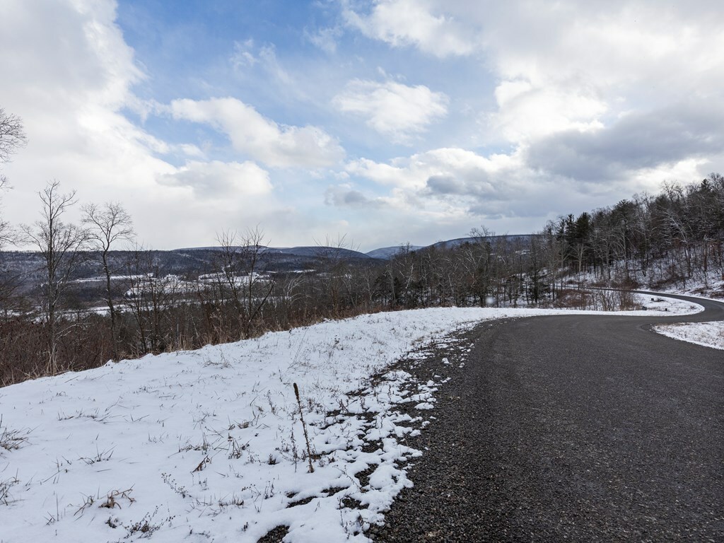 Property Photo:  Lot 21 Hemlock Hills Rd  PA 18848 