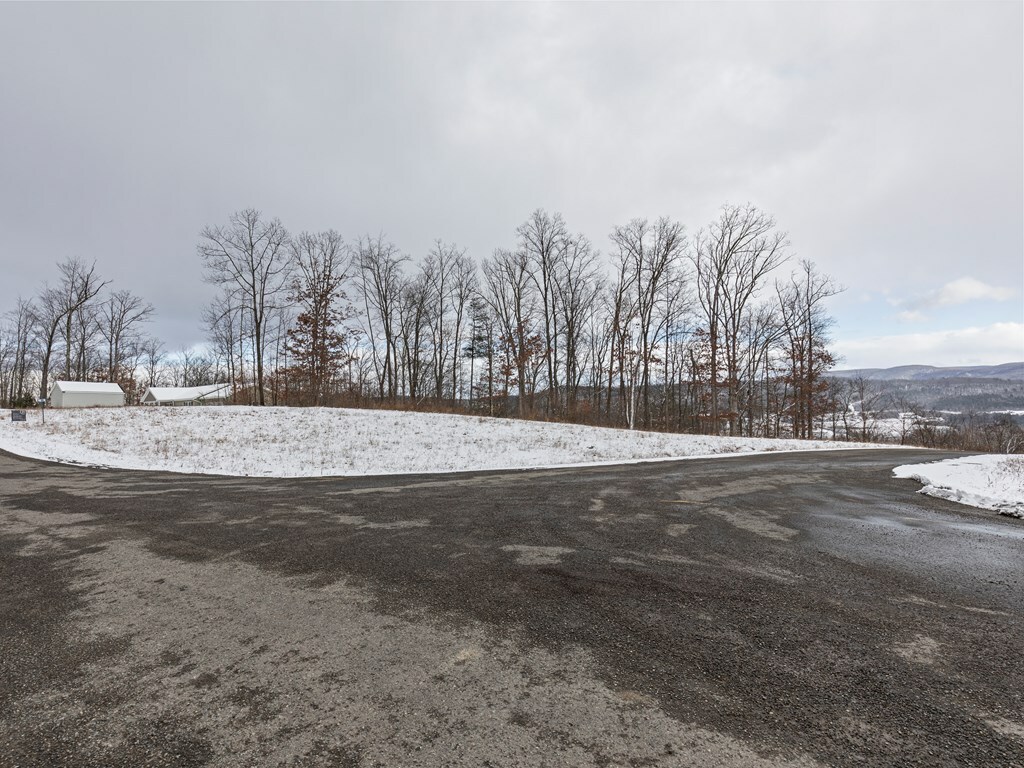 Property Photo:  Lot 39 Hemlock Hills Rd  PA 18848 