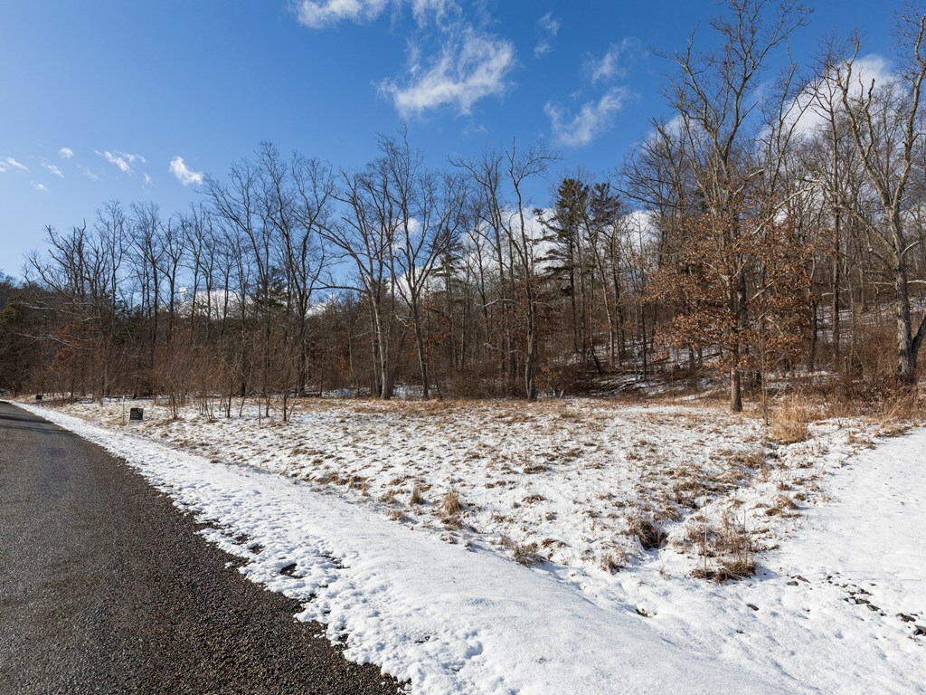 Property Photo:  Lot 15 Hemlock Hills Rd  PA 18848 