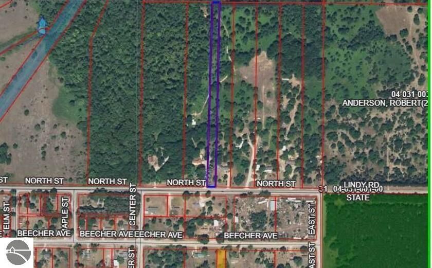 Property Photo:  00 N North Street  MI 49683 