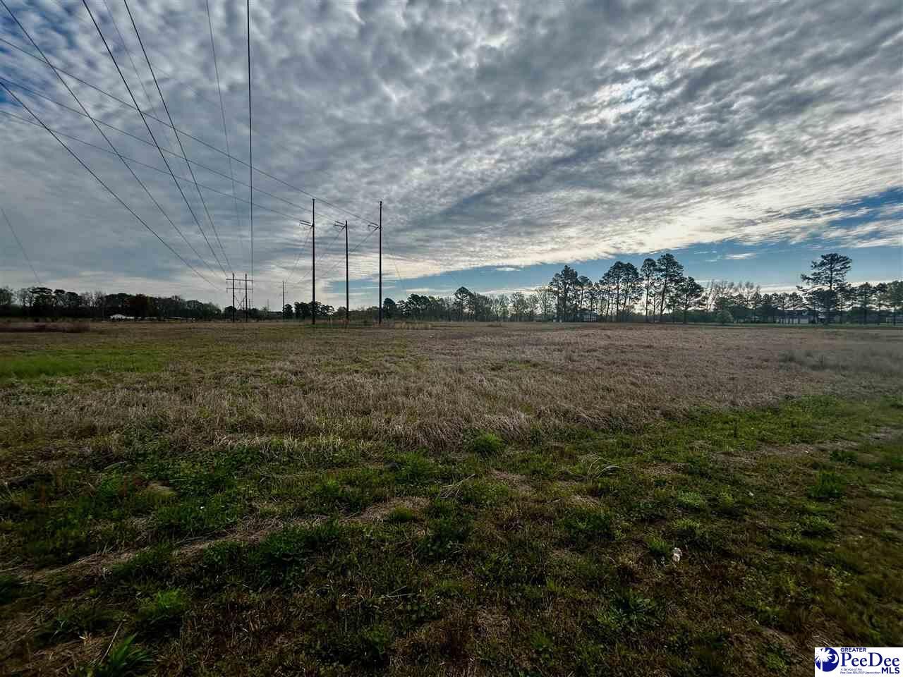 Property Photo: Tbd Ebenezer Rd SC 29532