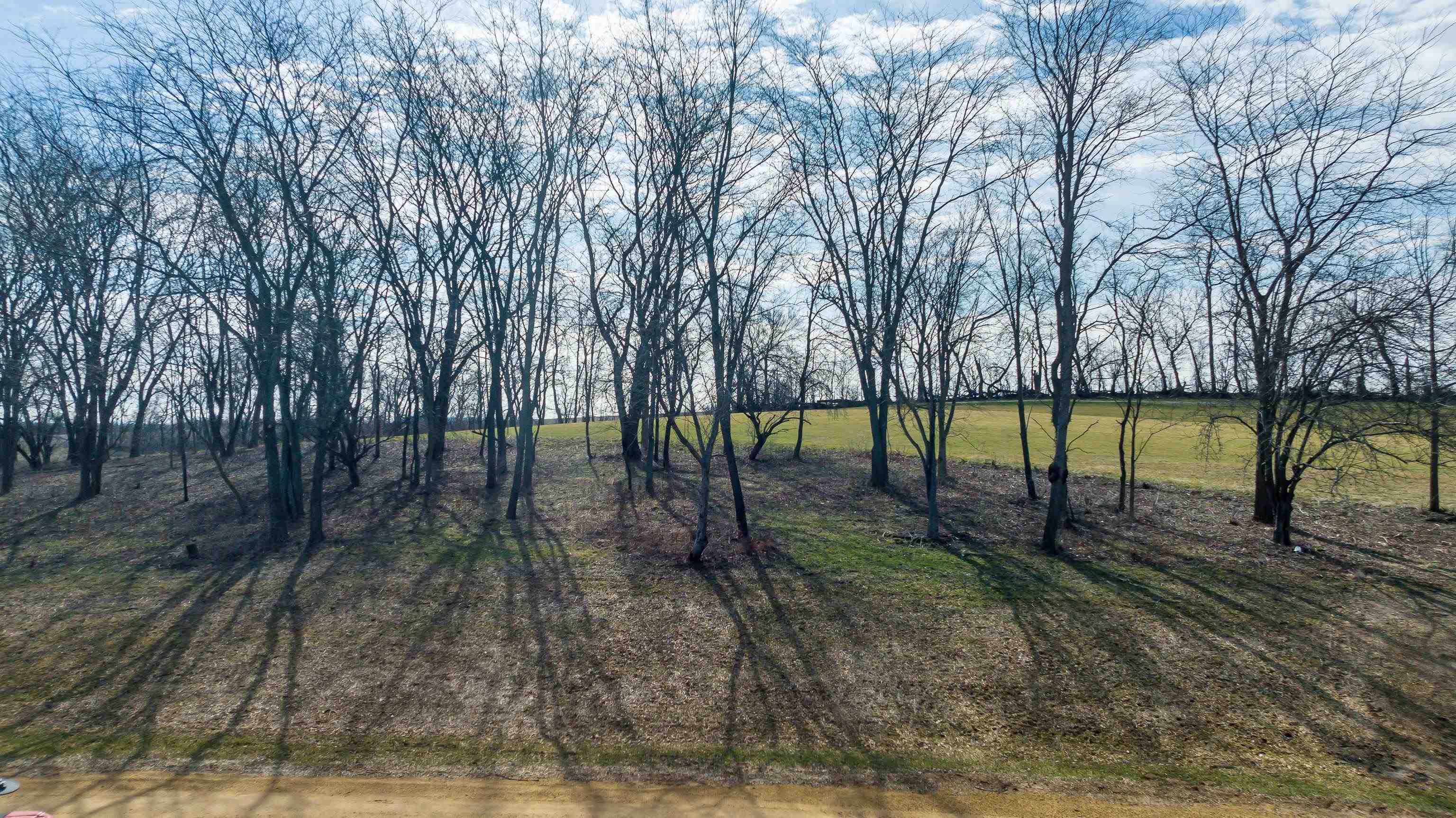 Property Photo:  Lot 2 Galena Golf View Estates Phase Ii  IL 61036 