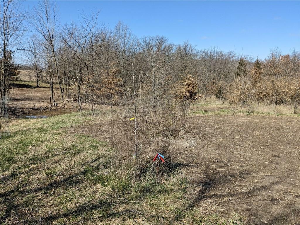 Property Photo:  17396 Highway 65 N/A  MO 64673 