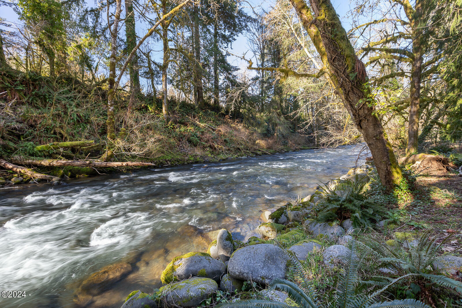 Property Photo:  184 N Slick Rock Creek Road  OR 97368 