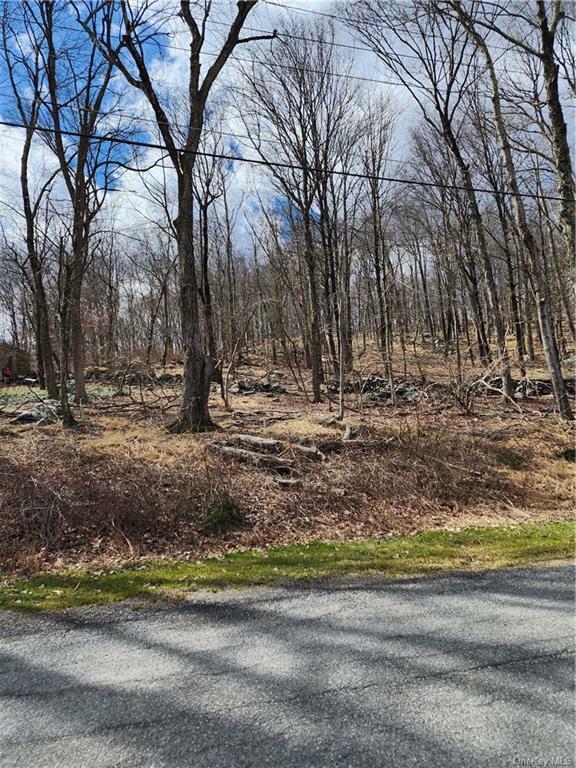 Property Photo:  Ponderosa Road  NY 10512 