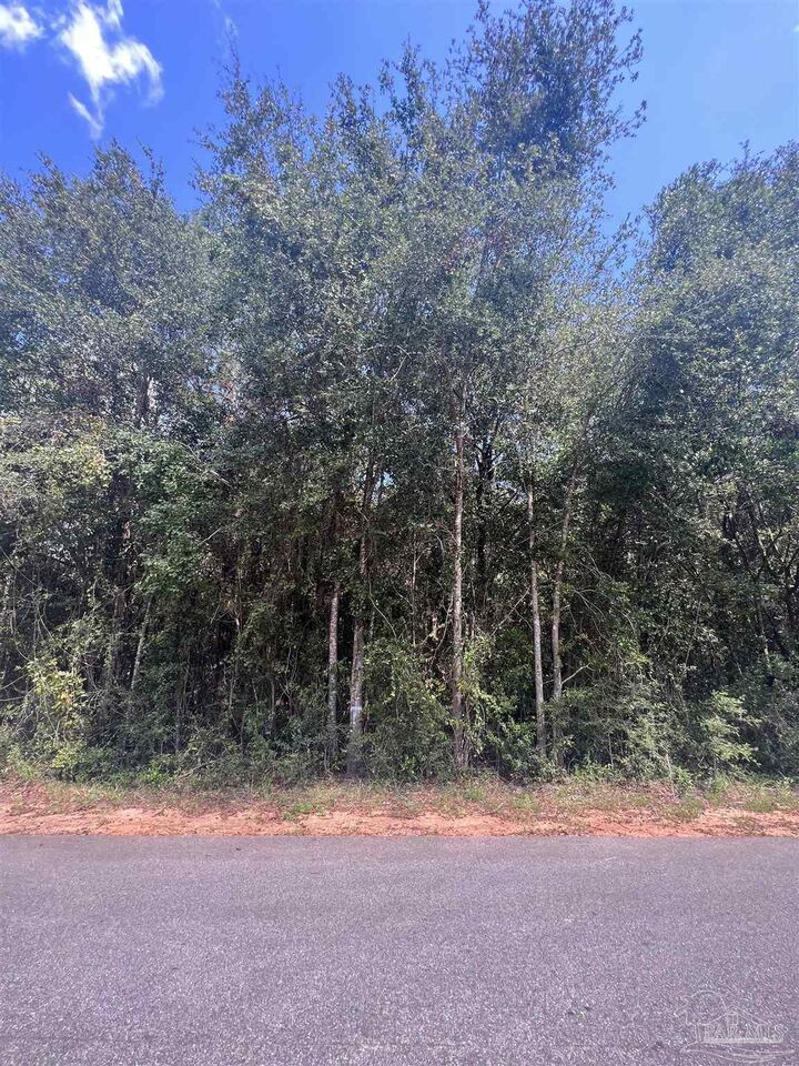 0000 C Beverly Ann Cr  Milton FL 32570 photo