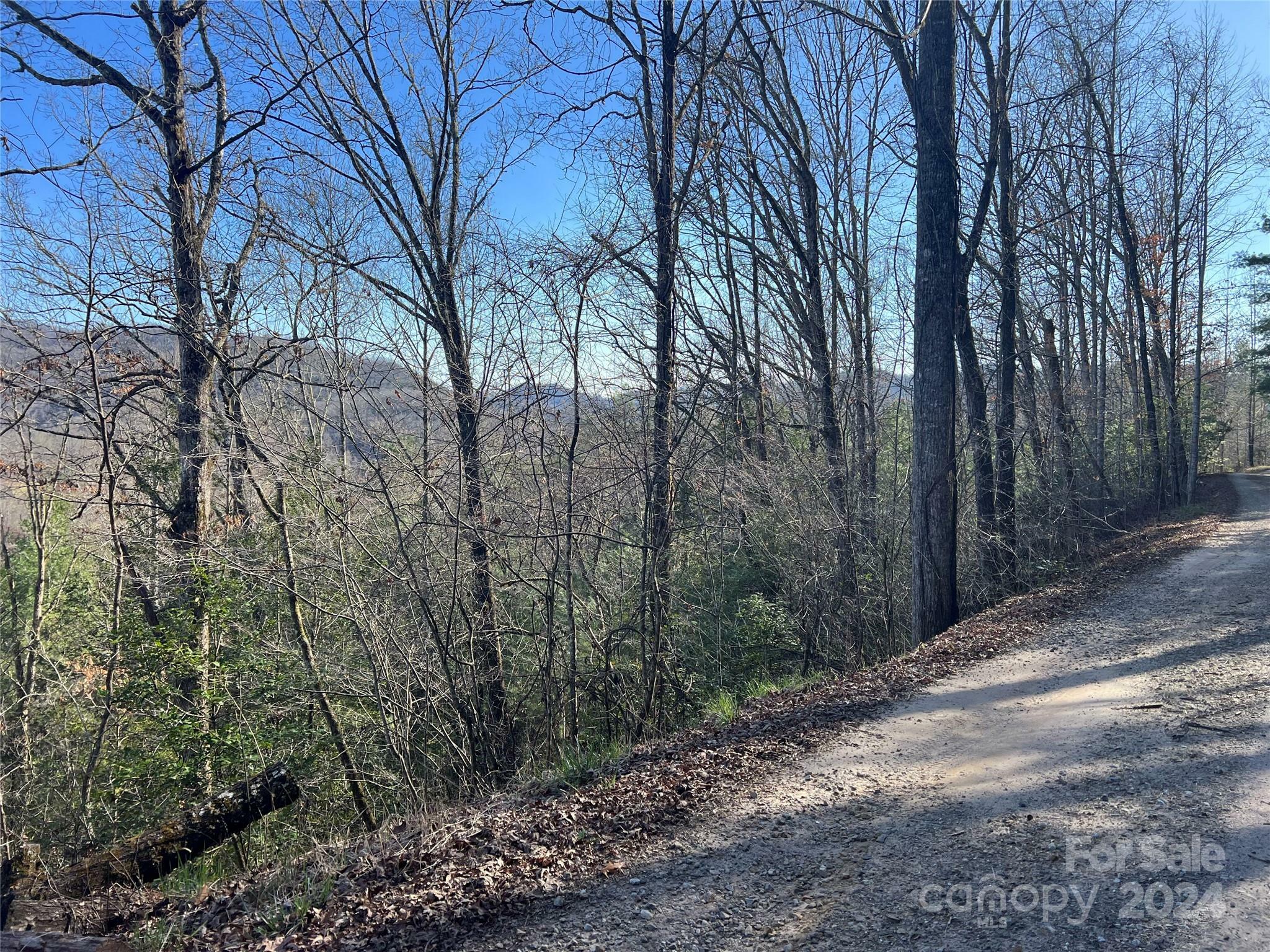 Property Photo:  0000 Younce Creek Road  NC 28734 