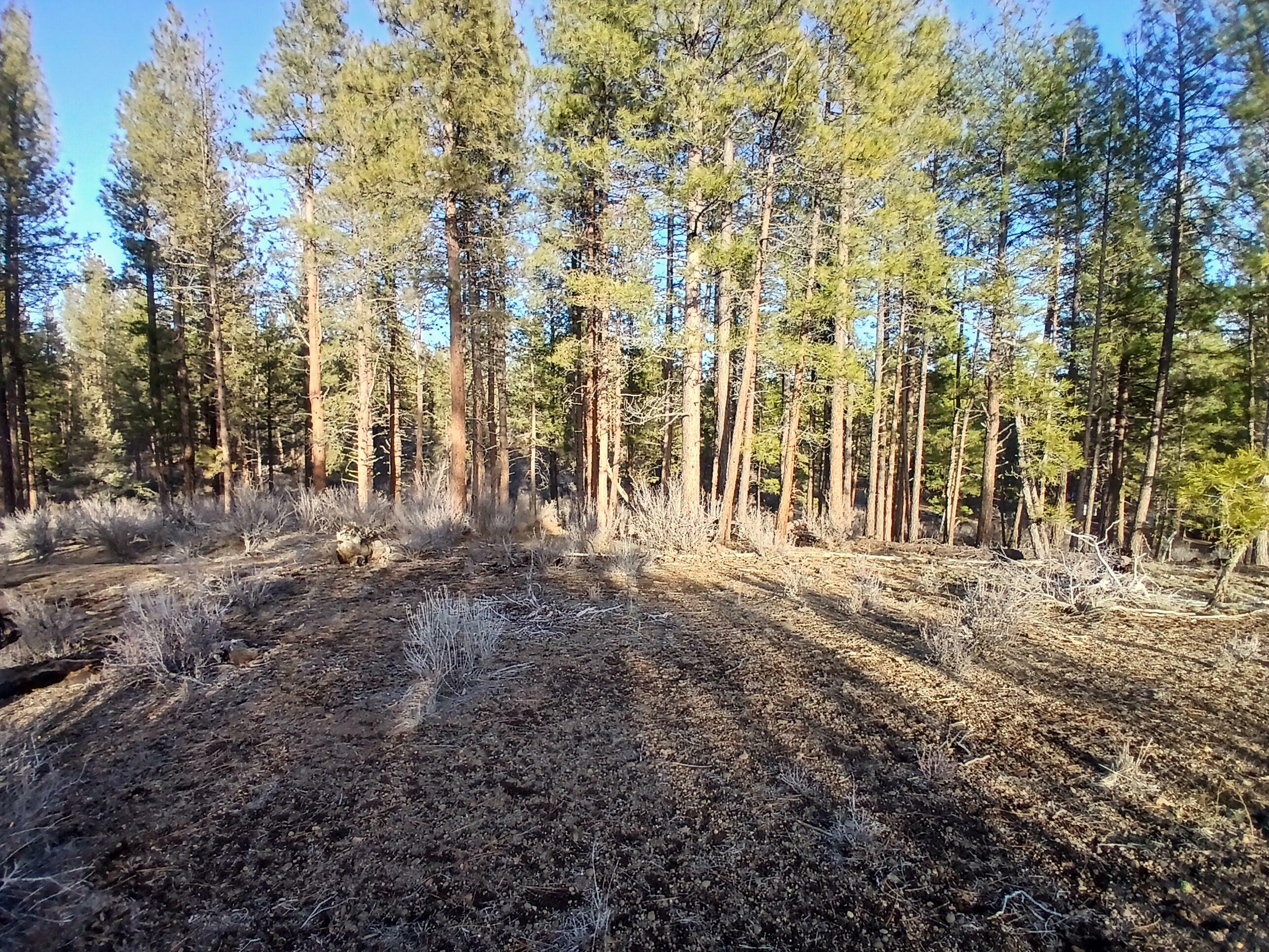 Property Photo:  Elde Street Lot 32 Block 3  OR 97624 