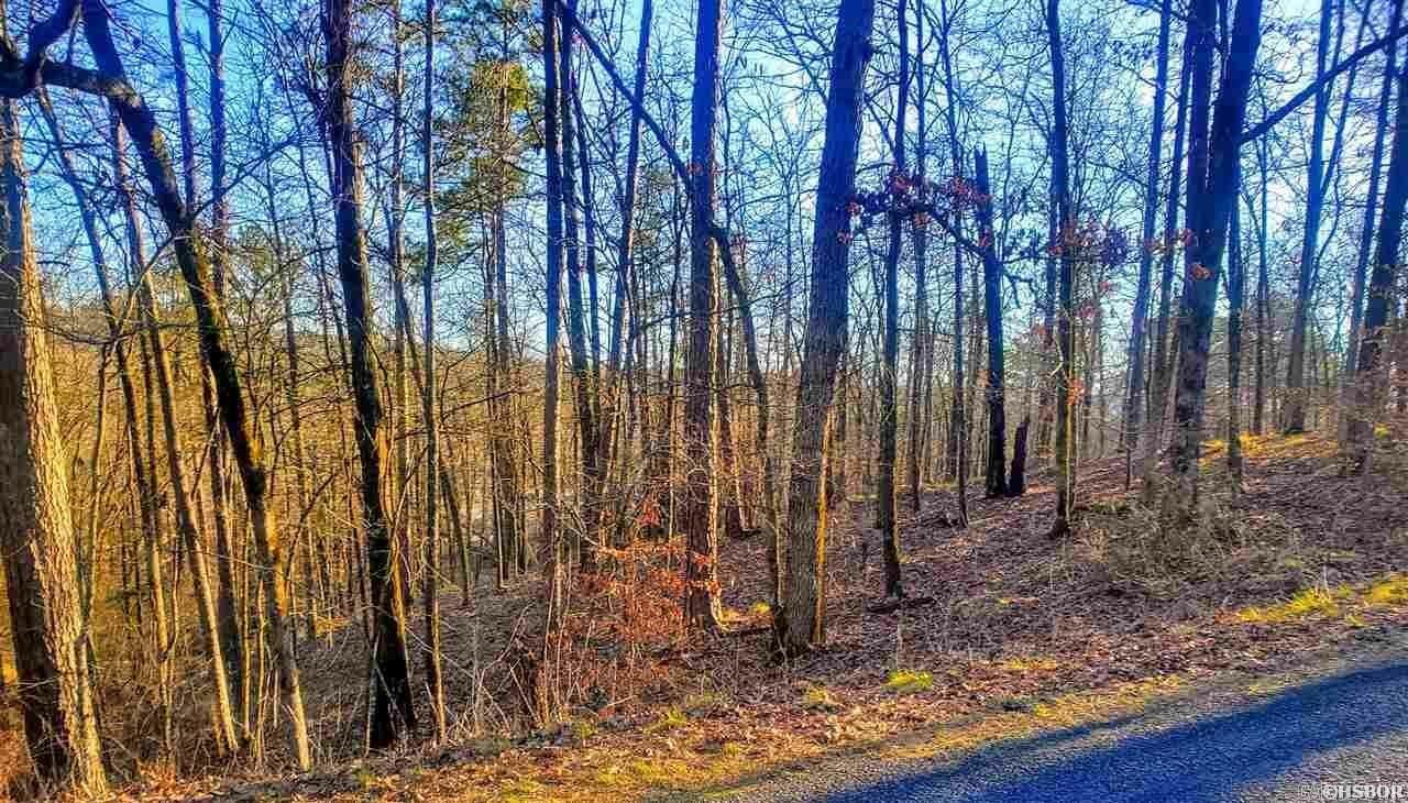 Property Photo:  Lots 1591 1592 Diamondhead Drive  AR 71913 