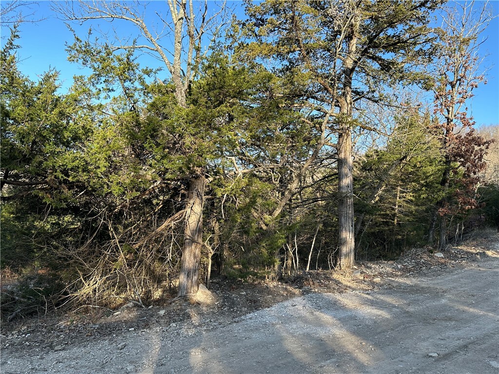 Property Photo:  Lot 5 Tomahawk Lane  AR 72732 