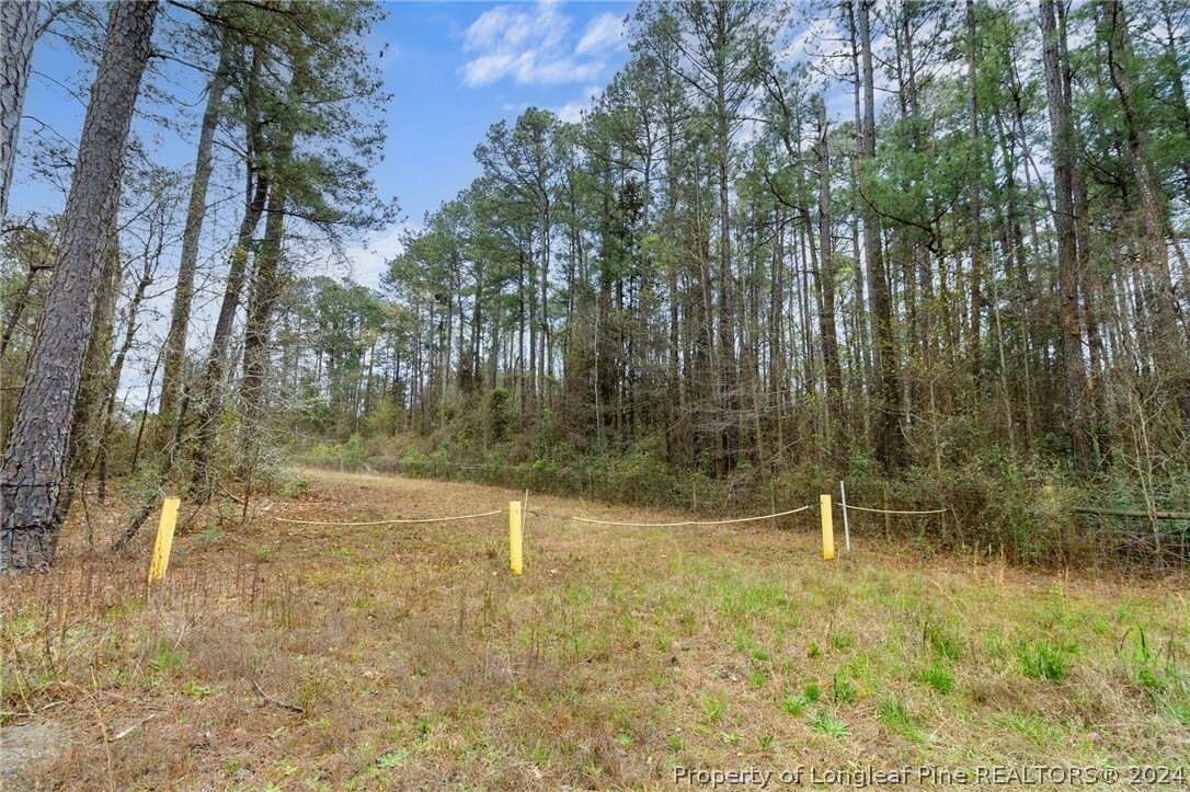 Property Photo:  Shaw Mill Road  NC 28311 