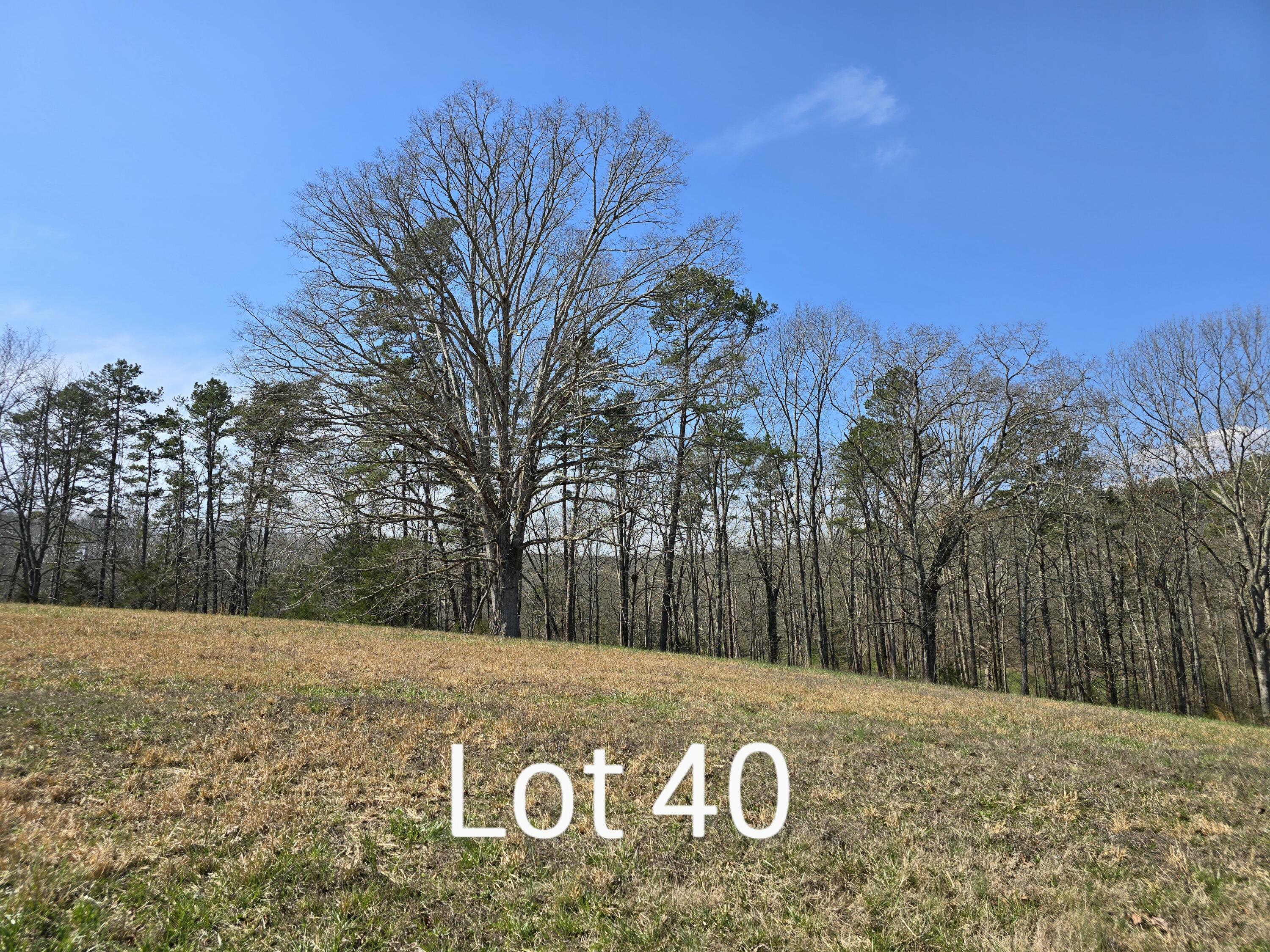 Property Photo:  5303 Bear Creek Road  TN 37308 