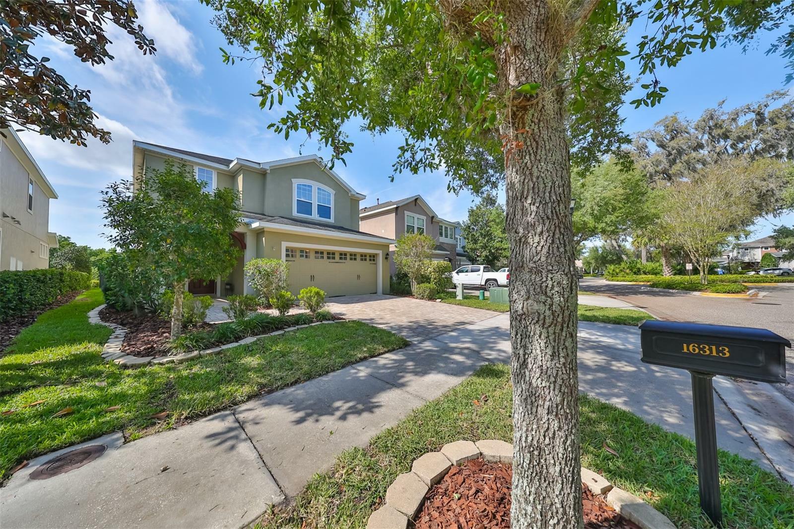 Property Photo:  16313 Bayberry View Drive  FL 33547 