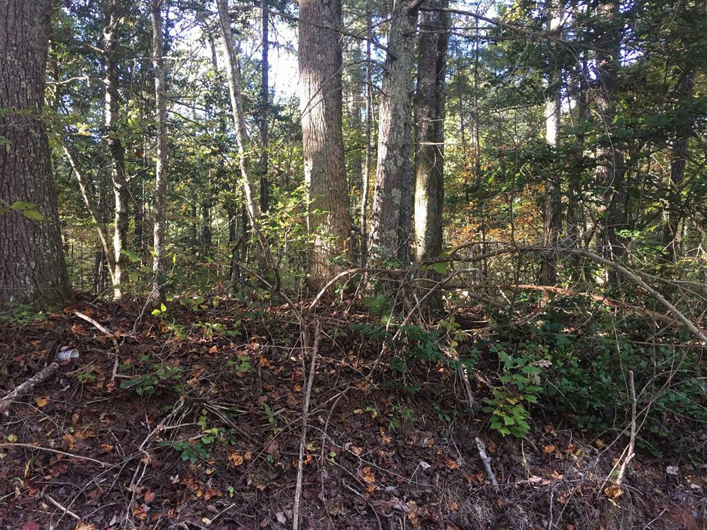 Lot  415 Chatawa Court  Ellijay GA 30540 photo