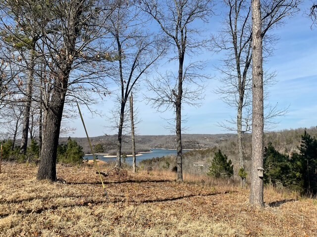 Property Photo: Lot 40 W Summit Peaks AR 72632