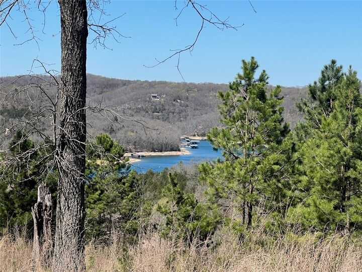 Property Photo:  Lot 40 W Summit Peaks  AR 72632 