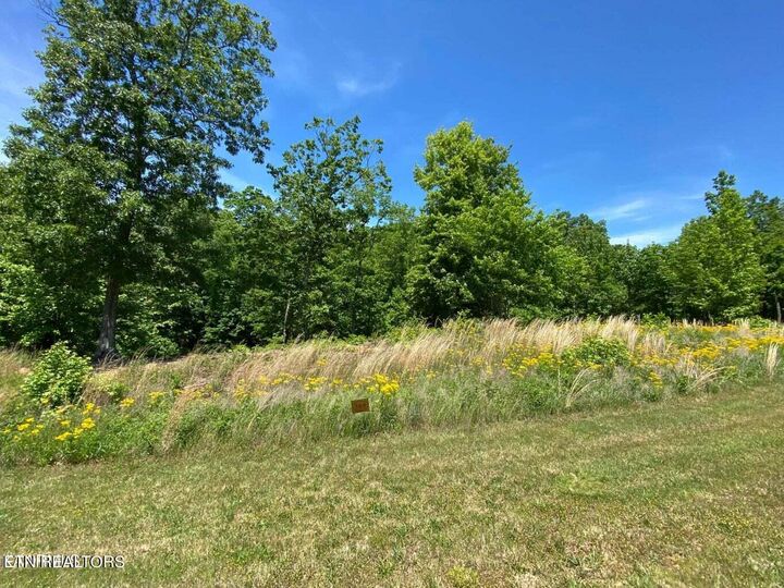 Property Photo: Water View Drive TN 37854
