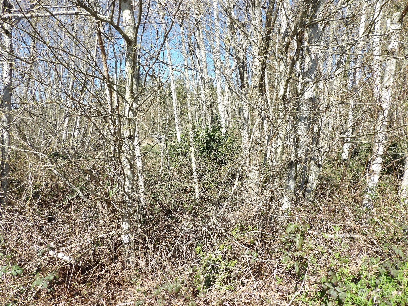 Property Photo:  1 NE Lot X Sylvan Way  WA 98310 