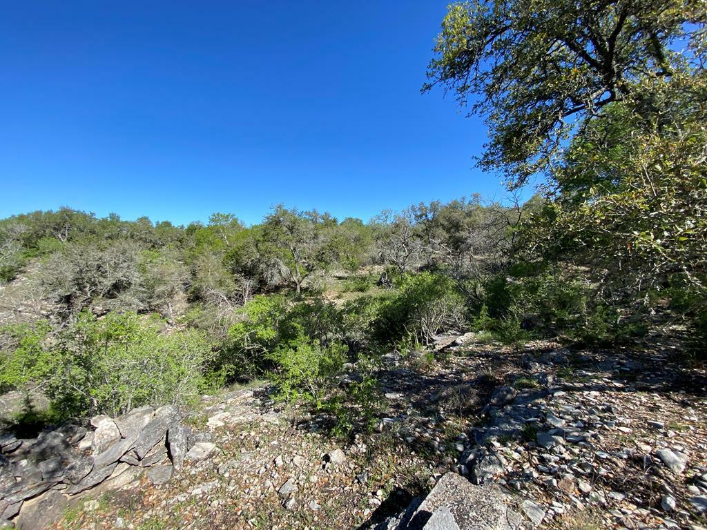 Property Photo:  624 Deer Rd  TX 78624 