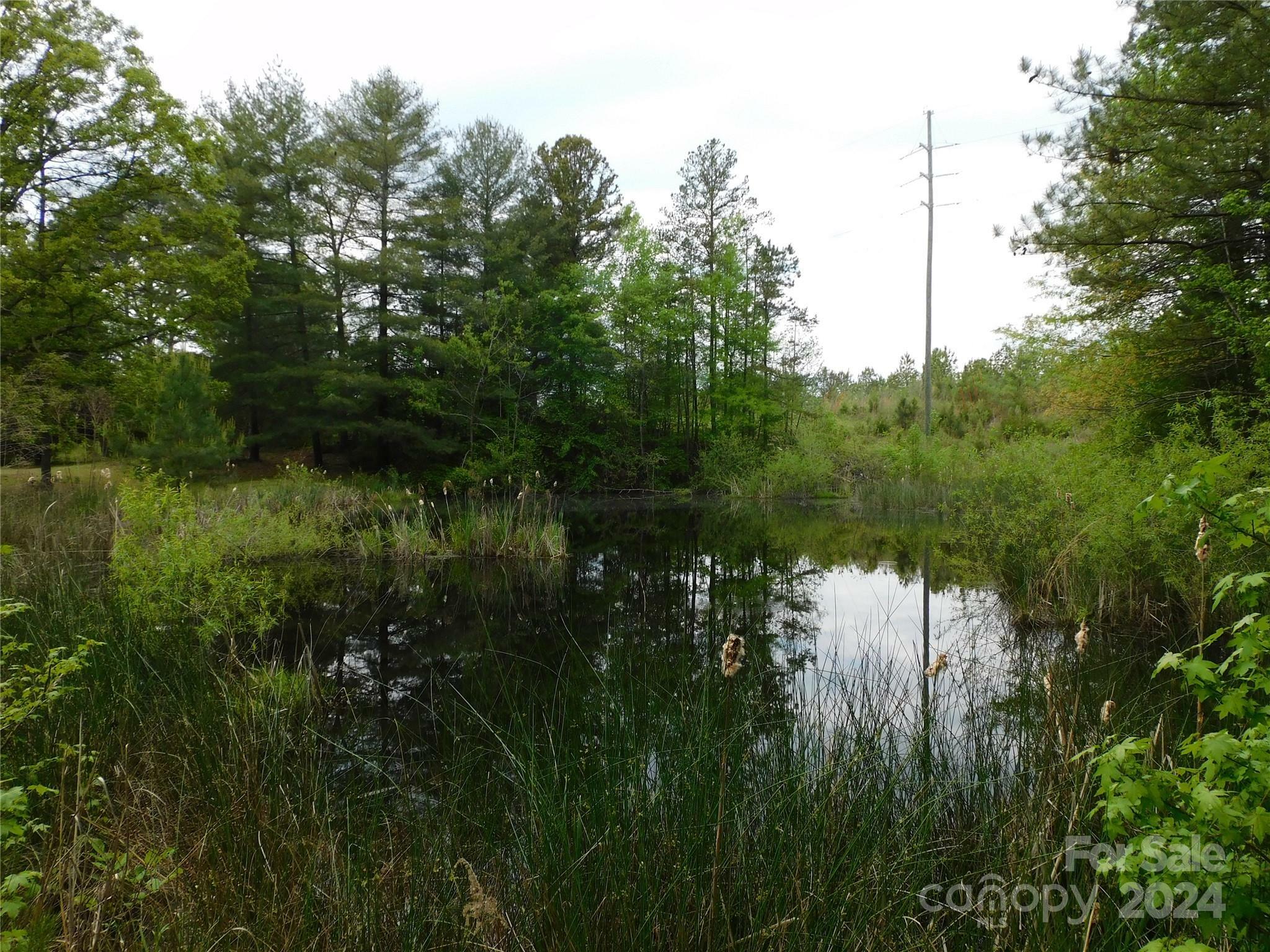 Property Photo:  322 Kings Creek Drive  SC 29702 