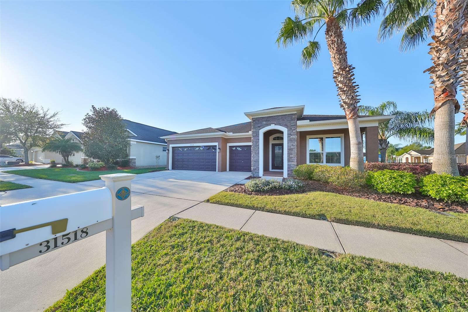 Property Photo:  31518 Bearded Oak Drive  FL 33543 