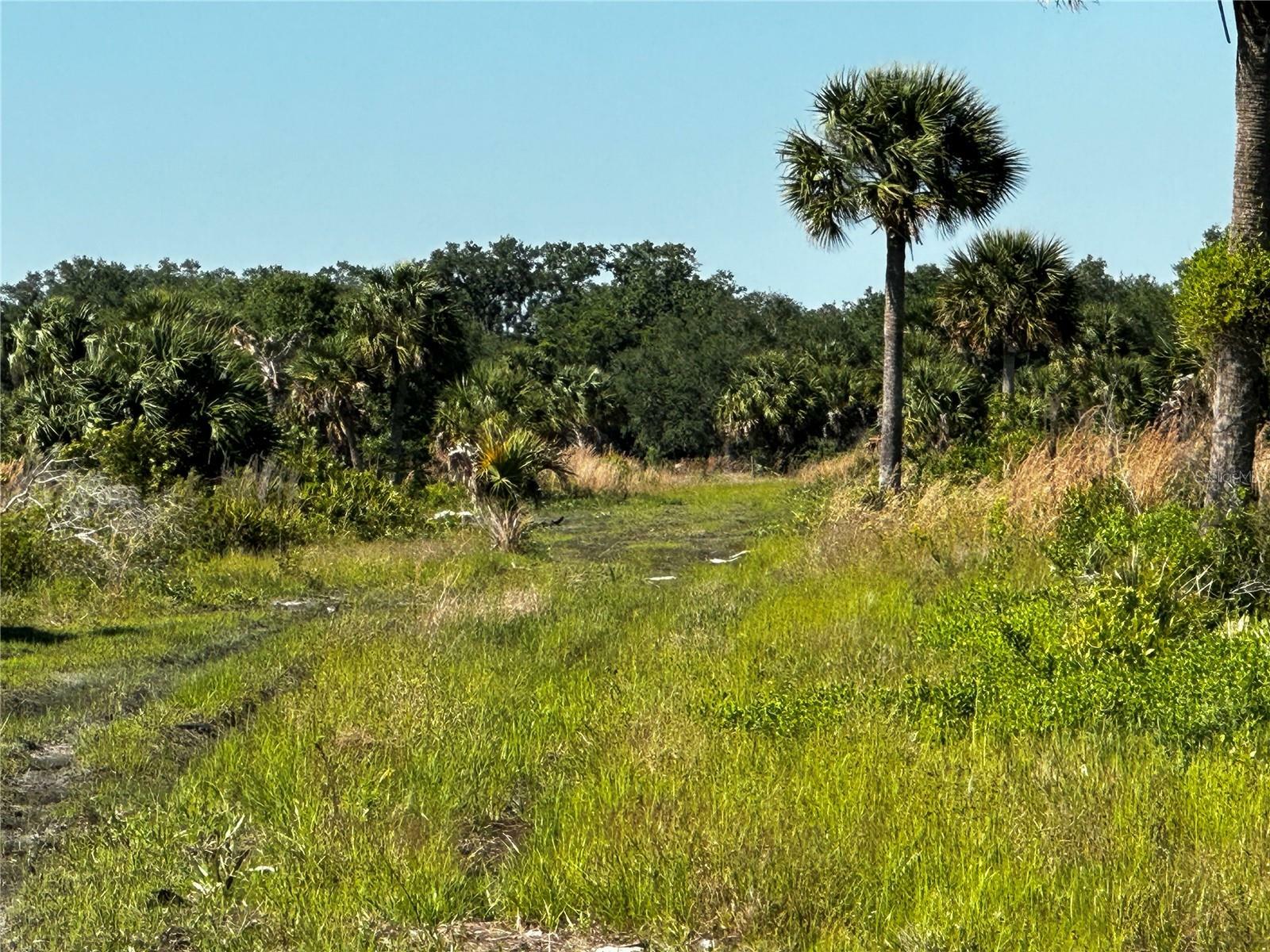 Property Photo:  1189 Cabbage Trail  FL 34974 