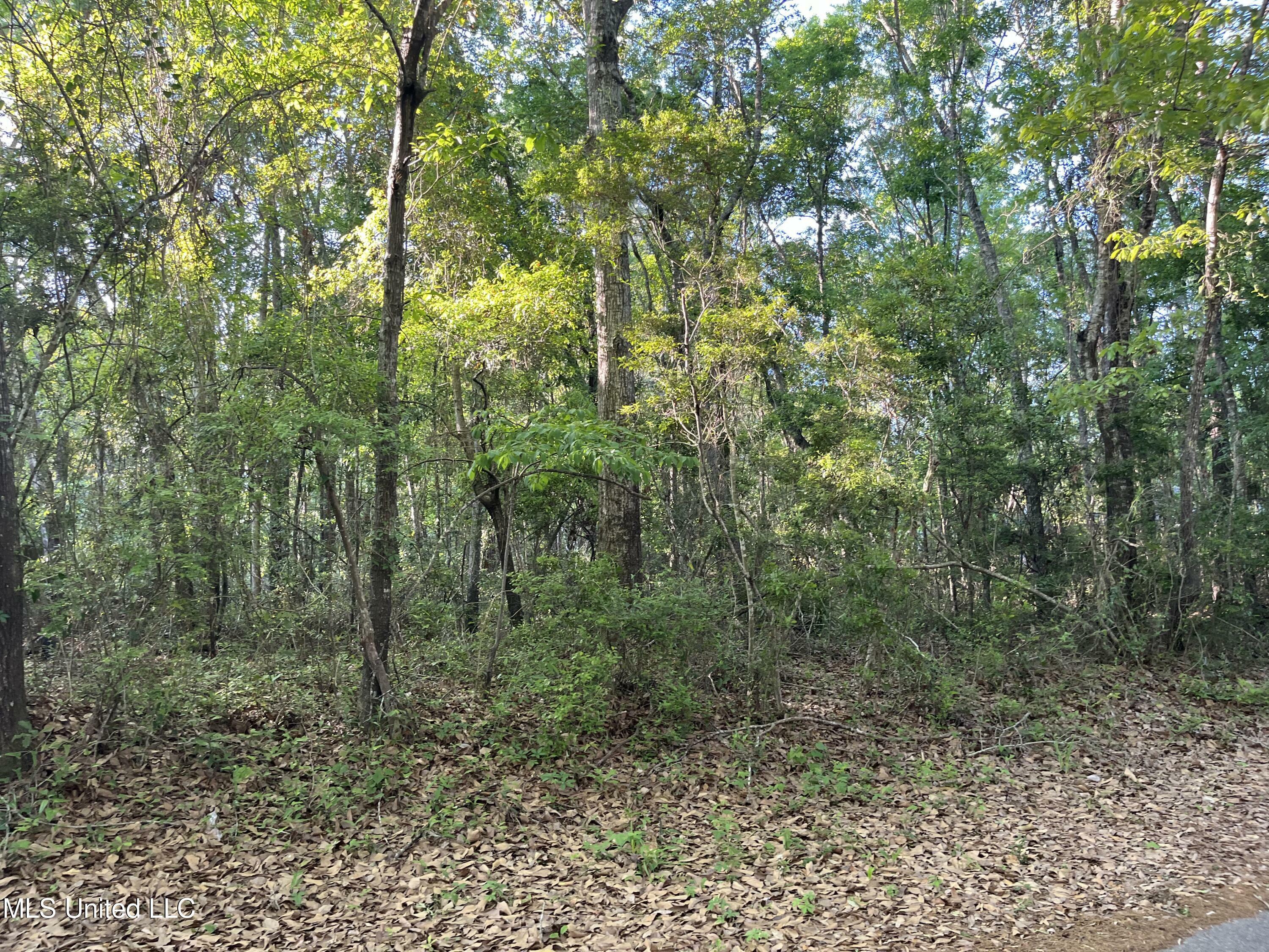 Property Photo:  Lots 36-37 Honduras Drive  MS 39553 