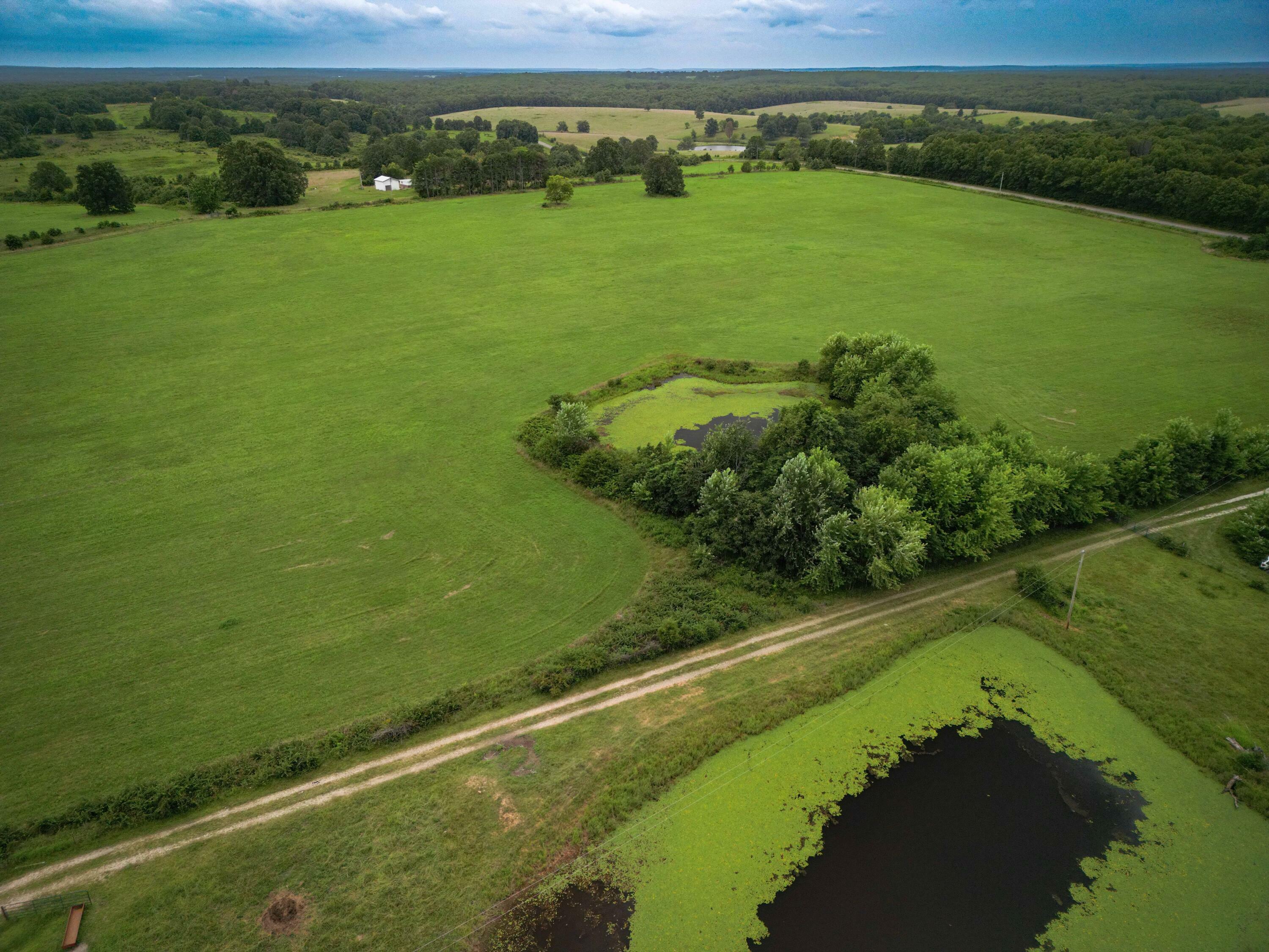 Property Photo: 000 Highway Dd MO 65662