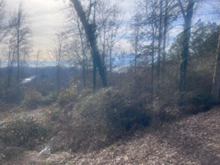 Property Photo:  000A Riverbend Road  SC 29643 