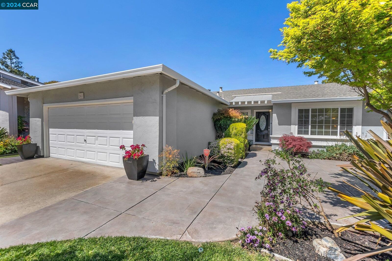 Property Photo:  242 Westvale Court  CA 94583 