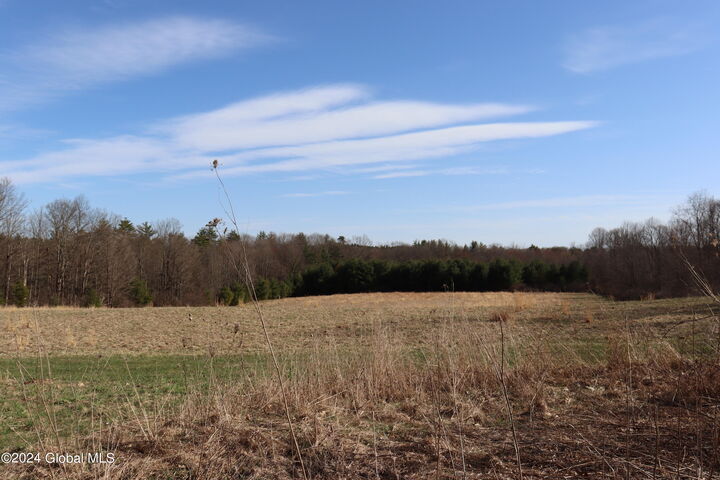 Property Photo:  1 Chuck Hollow Drive  NY 12020 