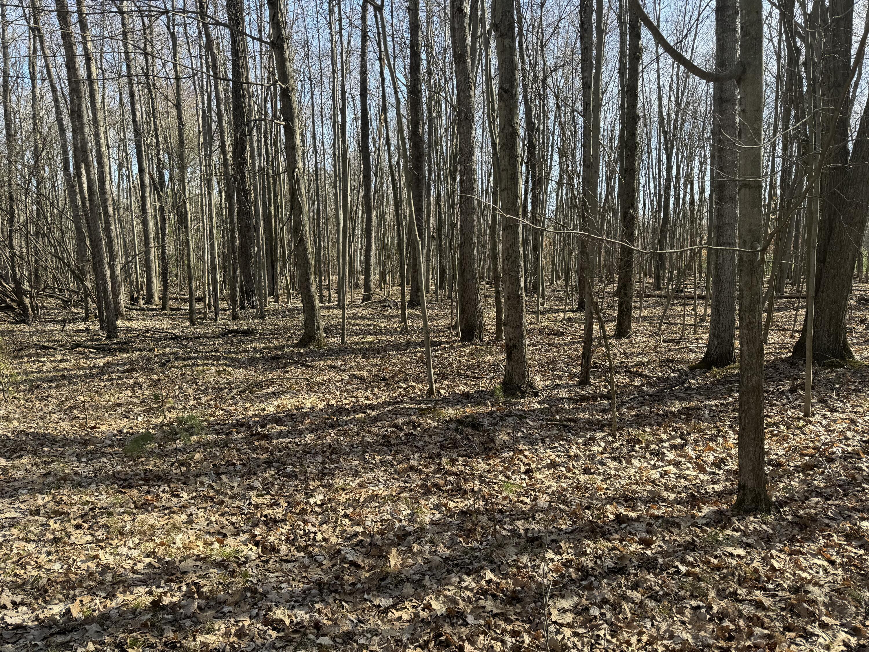 Property Photo: 10234 90th Avenue MI 49332