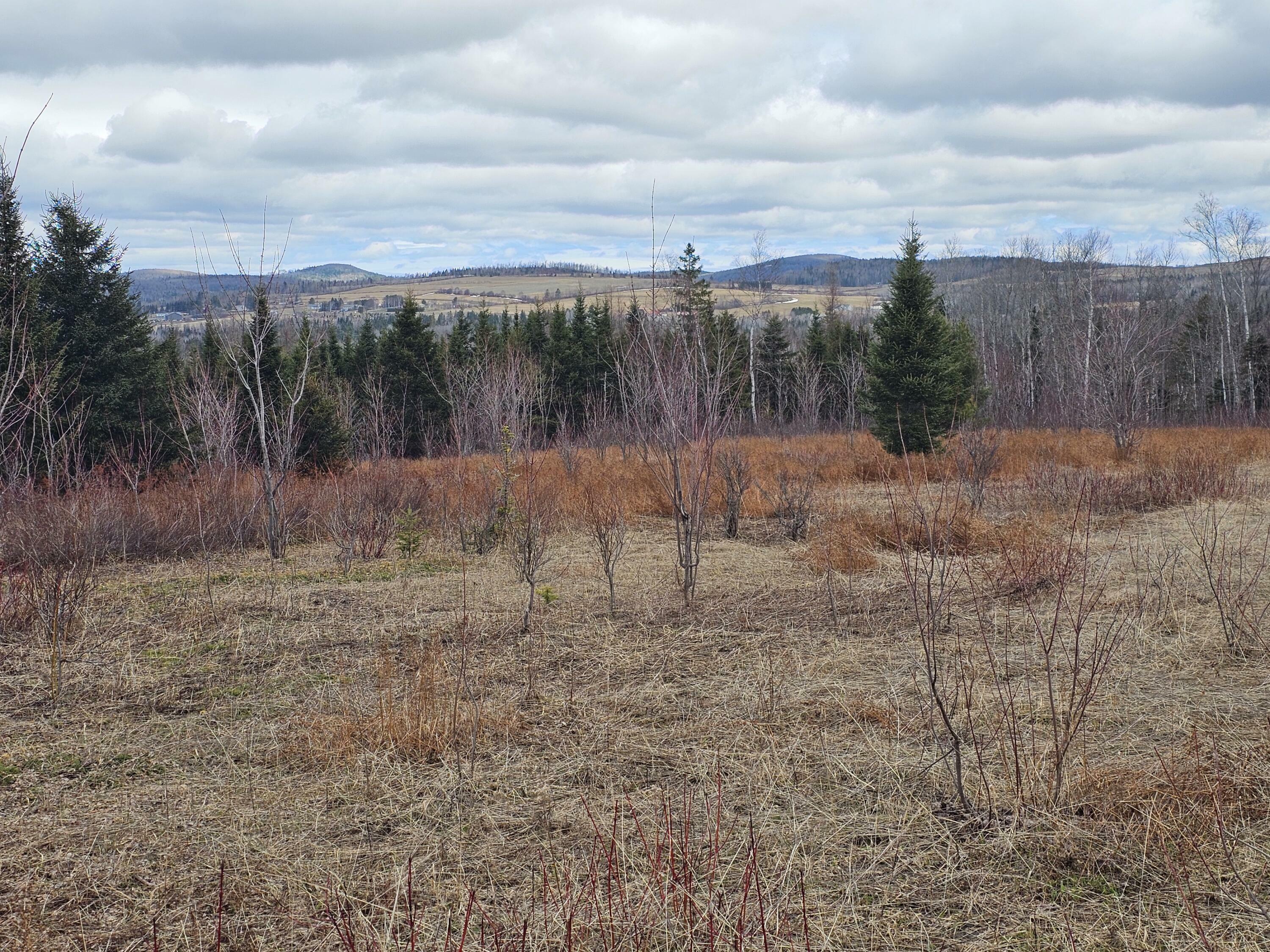 Property Photo:  960 Caribou Road  ME 04743 