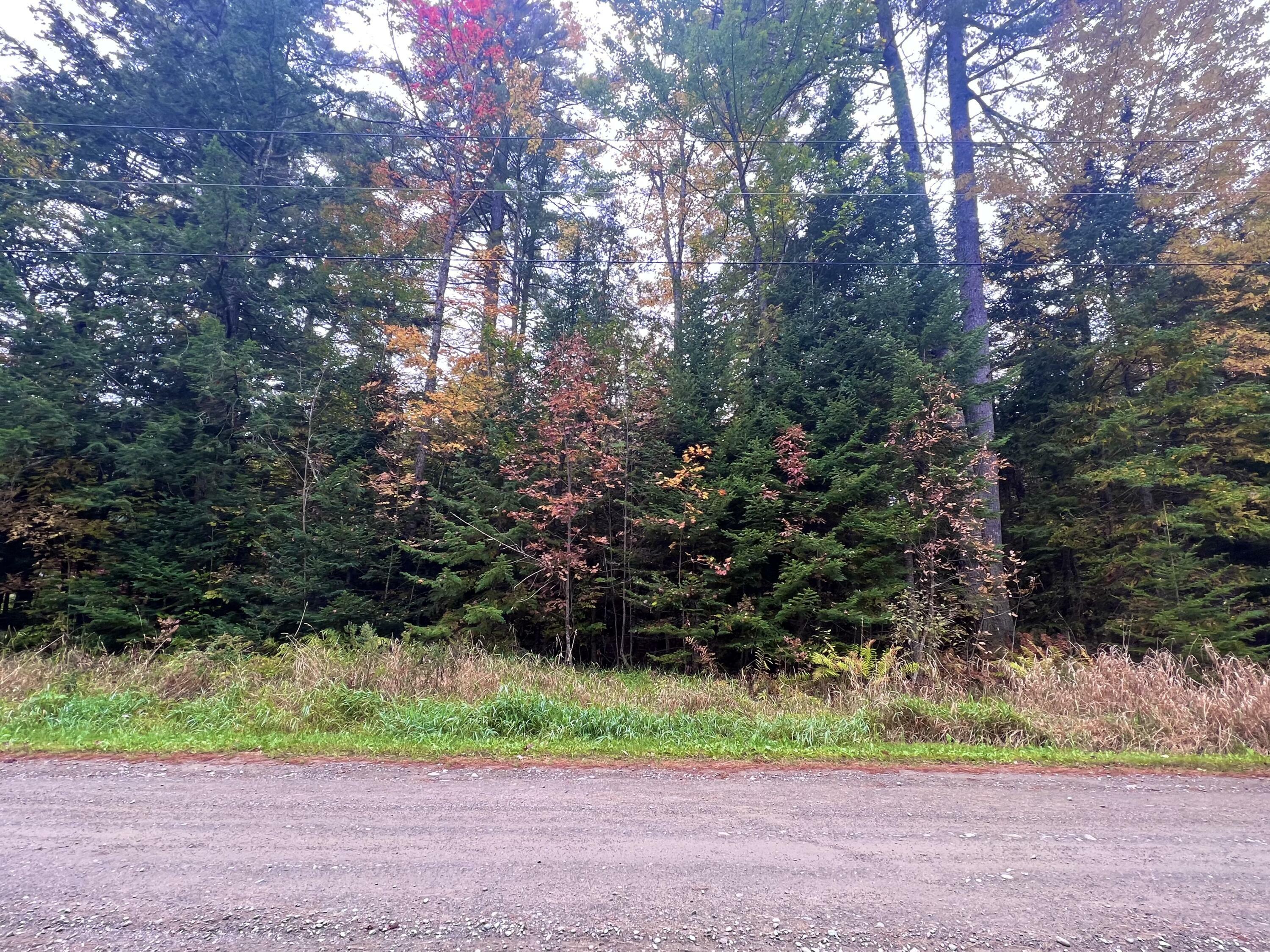 Property Photo:  Lot 4 Pine Grove Drive  ME 04971 