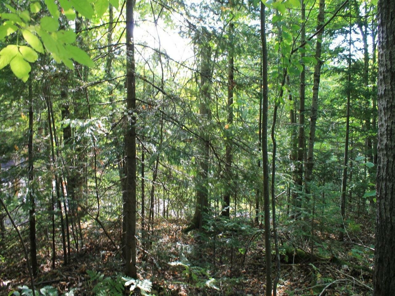 Property Photo:  Lot 16 Alpine Dr  WI 54565 