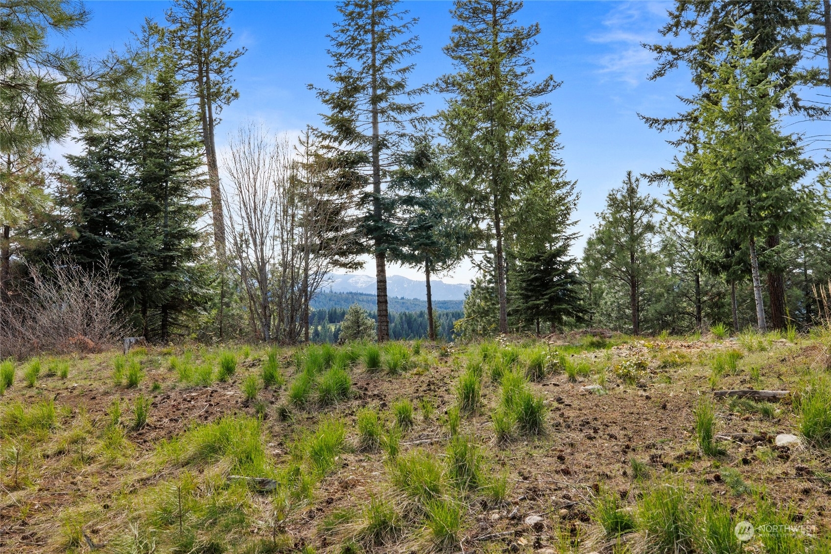 Property Photo:  331 Kokanee Loop  WA 98922 