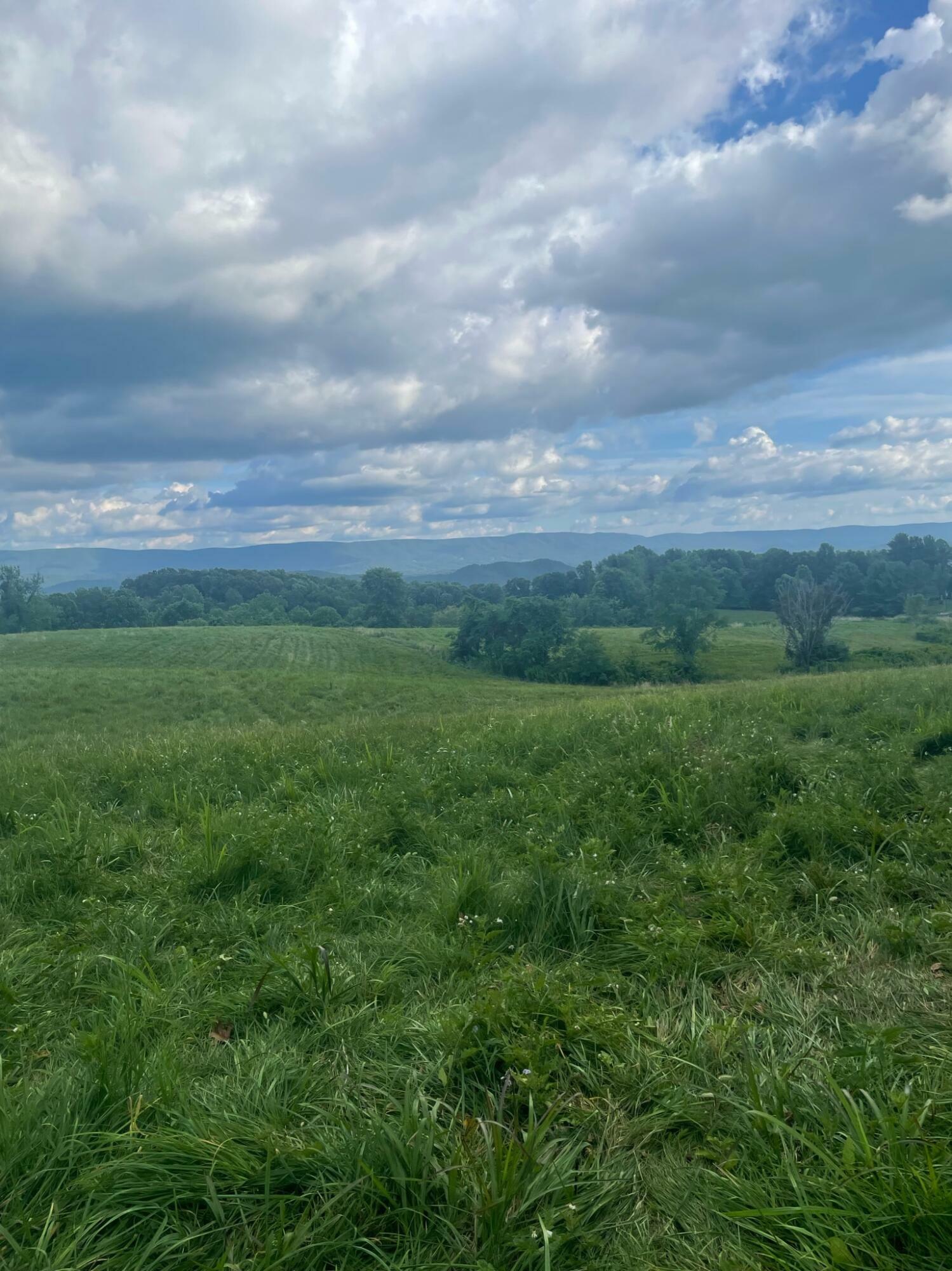 Property Photo:  8822 Knobs Rd  WV 24983 