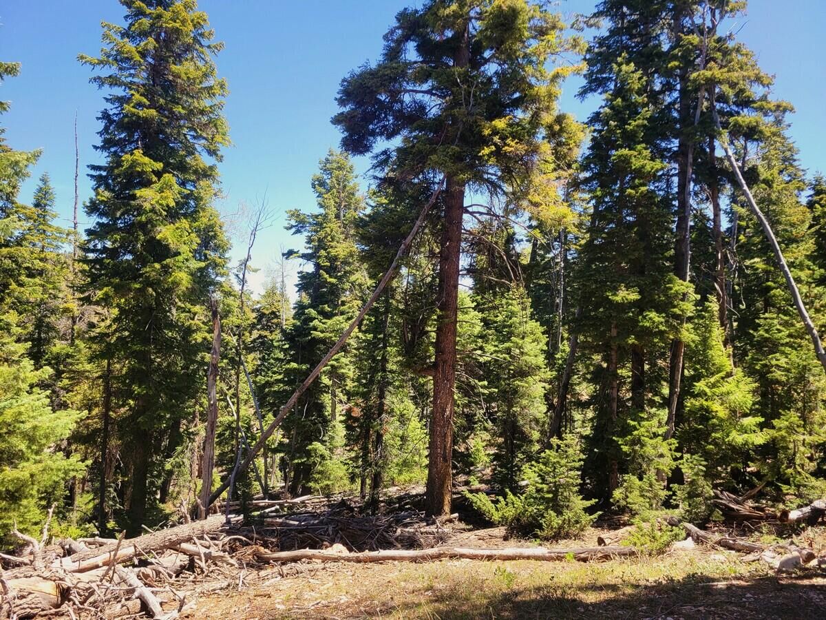 Property Photo:  880 W Shale Cir  UT 84762