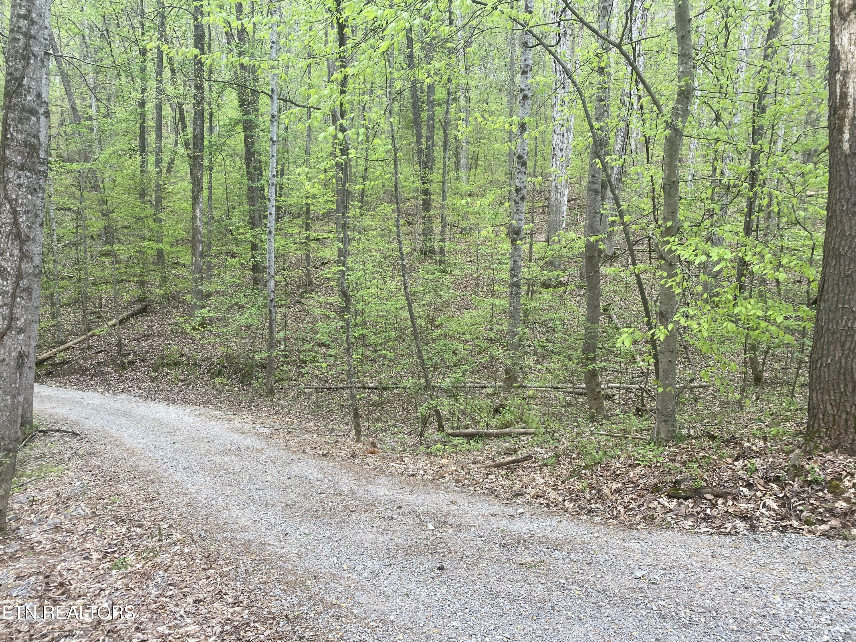 Property Photo:  Lot#4,5&6 Lakewood Rd  TN 37807 